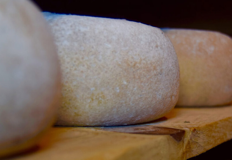 EMPIEZA LA EJECUCIÓN DEL PROYECTO QUESOS DE HUALDO