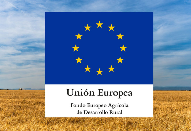 AYUDAS A LA INVERSIÓN, PIEZA CLAVE EN LA COMPETITIVIDAD DEL SECTOR AGROALIMENTARIO