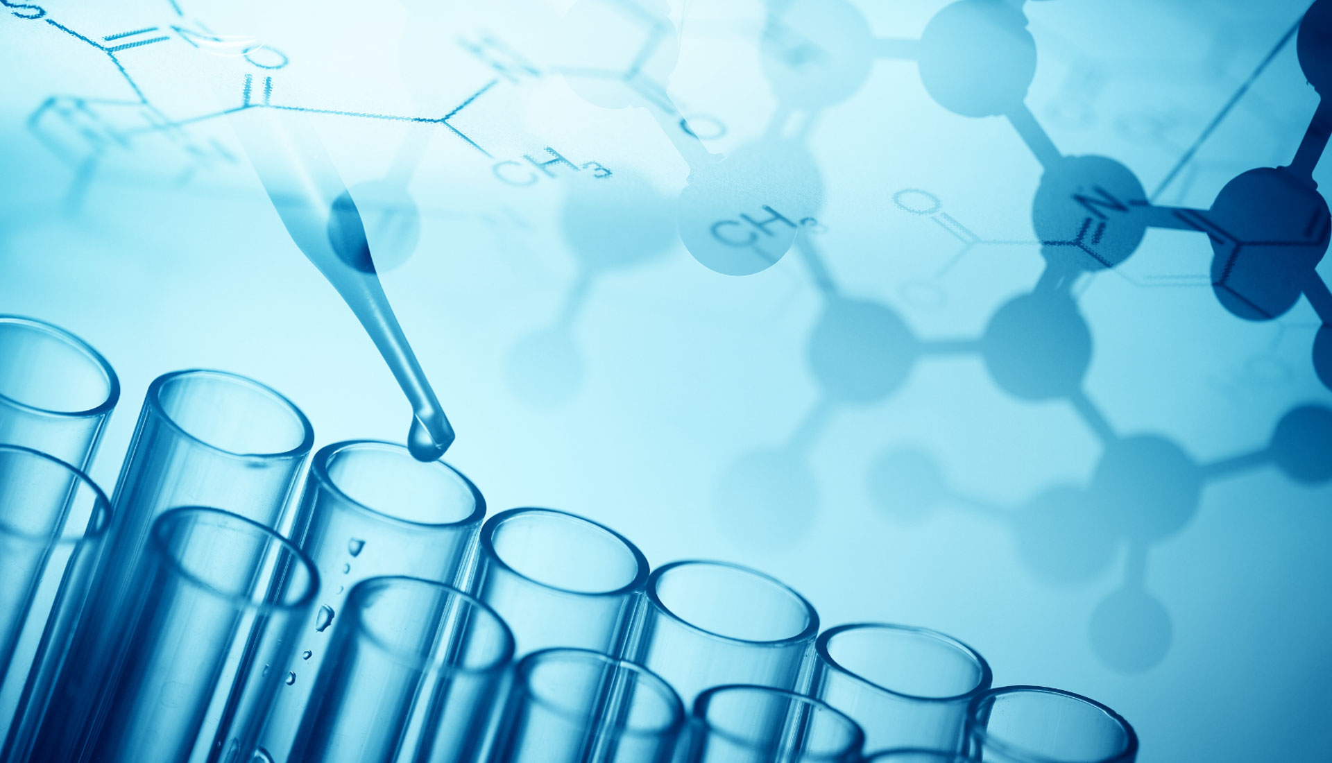 Consultoria proyecto de I+D+i