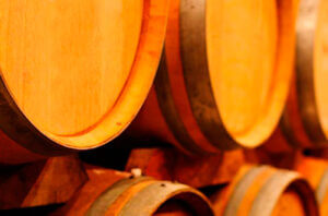 Proyecto Sector vitivinícola