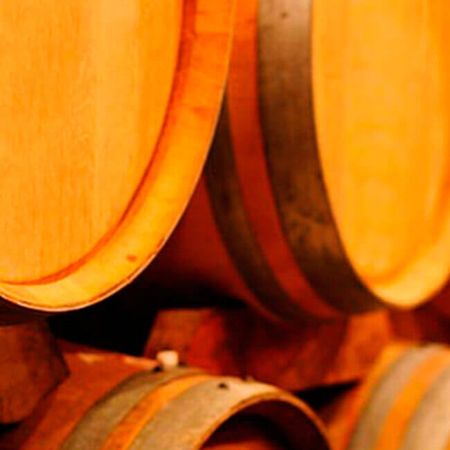 Proyecto Sector vitivinícola