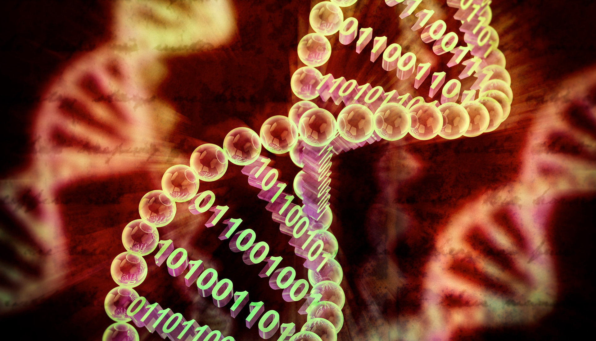 Consultores innovacion i+d+i