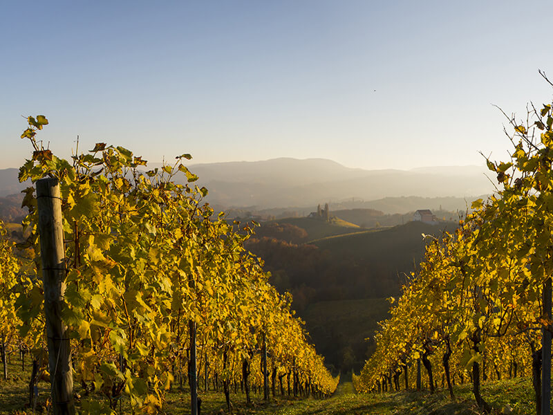 Arranca el proyecto internacional NOVATERRA con el apoyo de artica+i