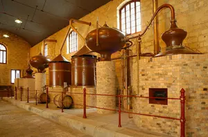 Actuamos como la oficina técnica, apoyando a los socios en el diseño técnico del proyecto, la elaboración documental, la coordinación del consorcio y la justificación técnico-económica de la iniciativa.