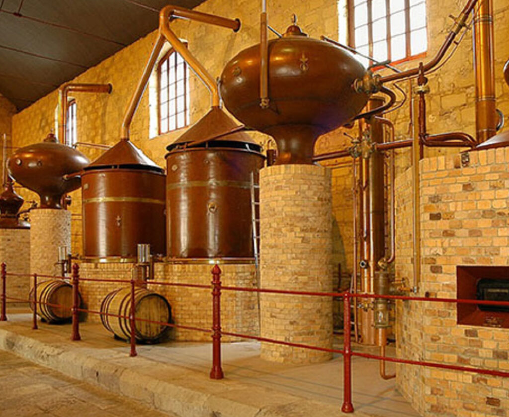 El proyecto BESTBRANDY impulsa la investigación de nuevas técnicas de manejo del viñedo