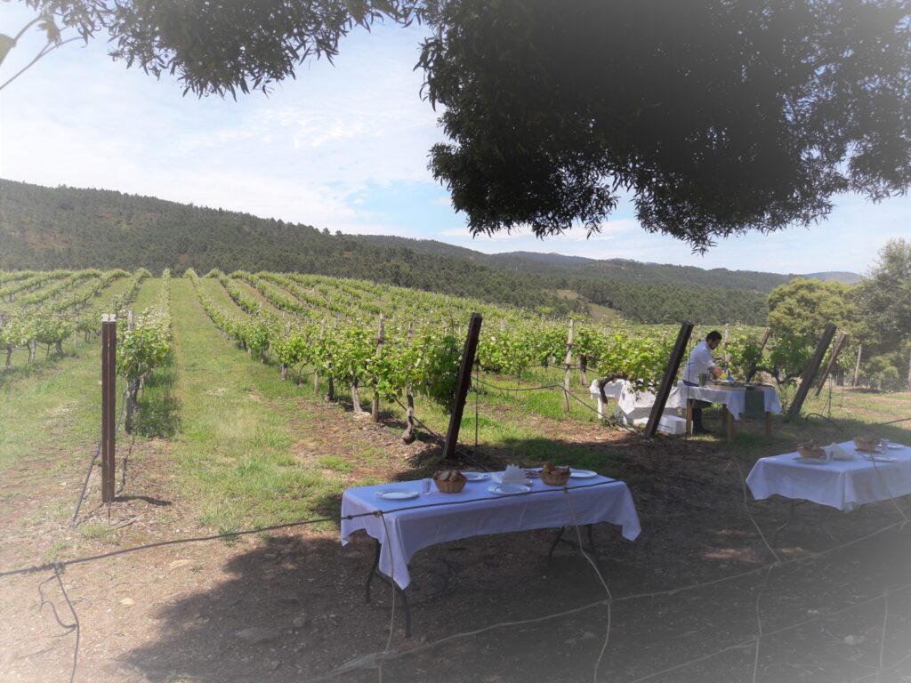 BIOFUNCIOGAL, un proyecto de I+D+i para potenciar la dieta gallega y sus beneficios para la salud