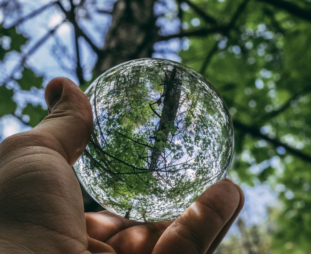 Abiertas las convocatorias 2019 de la Iniciativa PRIMA