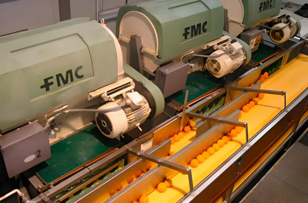 El proyecto contempla obras de edificación, equipamiento e instalaciones necesarias para el funcionamiento de una planta de elaboración de zumo y manipulación de cítricos.