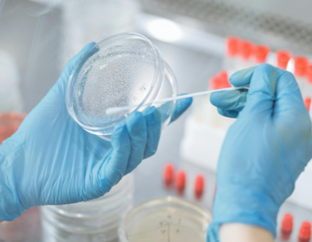 artica+i. Imagen para la galería interior del caso de éxito (nuestros proyectos) "NUTRIALITEC", mostrando una fotografía de una toma de muestras en un laboratorio