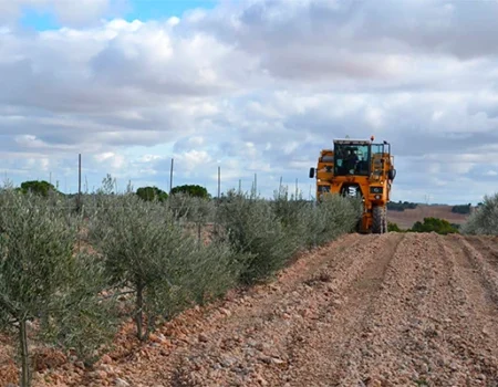 artica+i. Imagen para la galería interior del caso de éxito (nuestros proyectos) "SmartCrops 5.1.", mostrando la recolección en terreno semiárido
