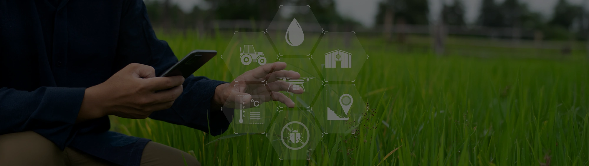 artica+i. Imagen para la cabecera del caso de éxito (nuestros proyectos) "RENOVATE. Innovación, digitalización y formación para la sostenibilidad agrícola.", mostrando una fotografía artística de un un campo de cultivo con una tablet de la que salen iconos conceptuales de tractores, tecnología, agua, etc.