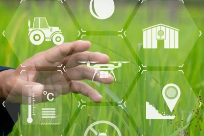 Imagen para la sección Casos de Éxito, Consultoría, para el caso RENOVATE