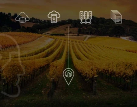 artica+i. Imagen para la galería interior del caso de éxito (nuestros proyectos) "BIGPREDIDATA. Proyecto de I+D de colaboración público-privada que desarrolla soluciones tecnológicas 4.0 para predicción del rendimiento de viñedos de vinificación", mostrando un detalle de una finca otoñal con iconos tecnológicos superpuestos