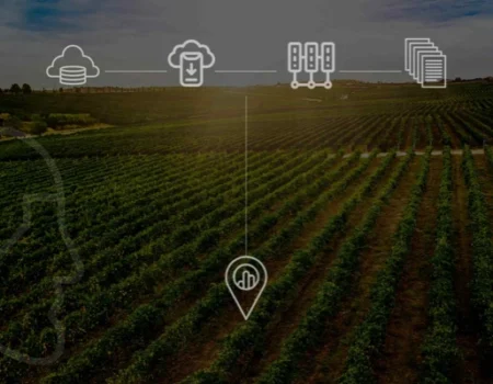 artica+i. Imagen para la galería interior del caso de éxito (nuestros proyectos) "BIGPREDIDATA. Proyecto de I+D de colaboración público-privada que desarrolla soluciones tecnológicas 4.0 para predicción del rendimiento de viñedos de vinificación", mostrando un detalle de una finca con vides verdes con iconos tecnológicos superpuestos