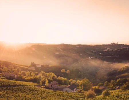 artica+i. Imagen para la galería interior del caso de éxito (nuestros proyectos) "BIGPREDIDATA. Proyecto de I+D de colaboración público-privada que desarrolla soluciones tecnológicas 4.0 para predicción del rendimiento de viñedos de vinificación", mostrando un detalle de una finca en un valle y ladera del proyecto