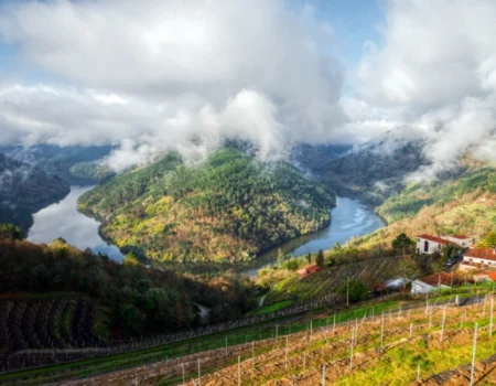 artica+i. Imagen para la galería interior del caso de éxito (nuestros proyectos) "BIGPREDIDATA. Proyecto de I+D de colaboración público-privada que desarrolla soluciones tecnológicas 4.0 para predicción del rendimiento de viñedos de vinificación", mostrando un detalle de una finca en ladera