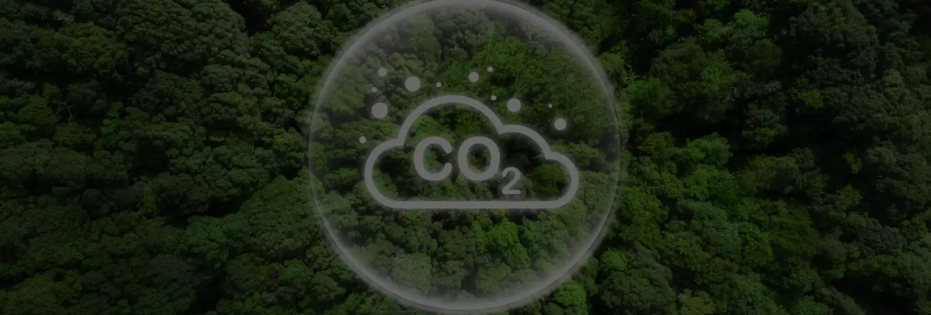 artica+i. Imagen para la cabecera (header) del caso de éxito (nuestros proyectos) "LIFE TOKEN CO₂. Plataforma digital para cuantificar y valorizar la absorción de carbono en bosques europeos, liderado por Digiltea", mostrando un bosque de fondo y el icono de CO₂ superpuesto