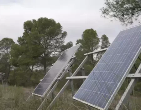 artica+i. Imagen para la galería del caso de éxito (nuestros proyectos) "LIFE TOKEN CO₂. Plataforma digital para cuantificar y valorizar la absorción de carbono en bosques europeos, liderado por Digiltea", mostrando un detalle de placas sobre el terreno usadas para el proyecto