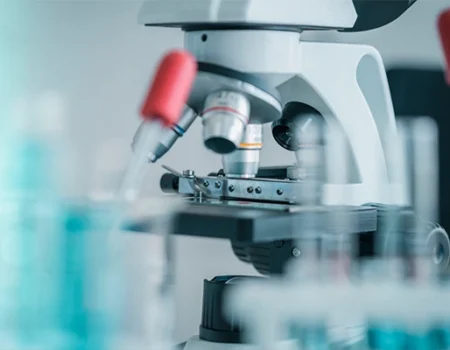 artica+i. Imagen para la galería interior del caso de éxito (nuestros proyectos) "POLYRESWINE. Proyecto de I+D orientado a aplicar nuevas técnicas basadas en resinas de intercambio iónico/absorbentes para eliminar compuestos indeseables en el vino", mostrando un detalle de un microscopio