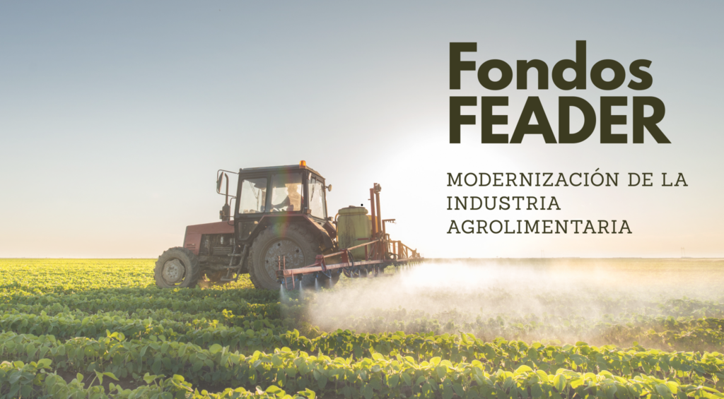 Los fondos FEADER impulsan la modernización agroalimentaria mediante ayudas cofinanciadas para digitalización, eficiencia energética e innovación. Acompañamos a las empresas en todo el proceso, desde la identificación de oportunidades hasta la gestión y cobro de la subvención, maximizando el éxito del proyecto.